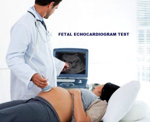 FETAL ECHOCARDIOGRAM TEST