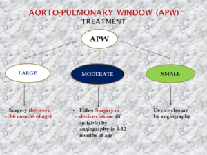 AP window diagnosis – Blog